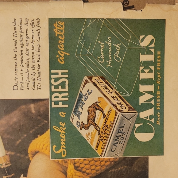 - Vintage 1933 Camel Cigarette Ad - Picture 4 of 4